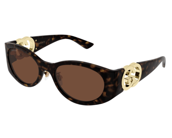 Ecaille (003)