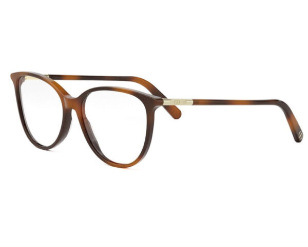 Ecaille (2600)