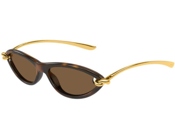 Ecaille (002)