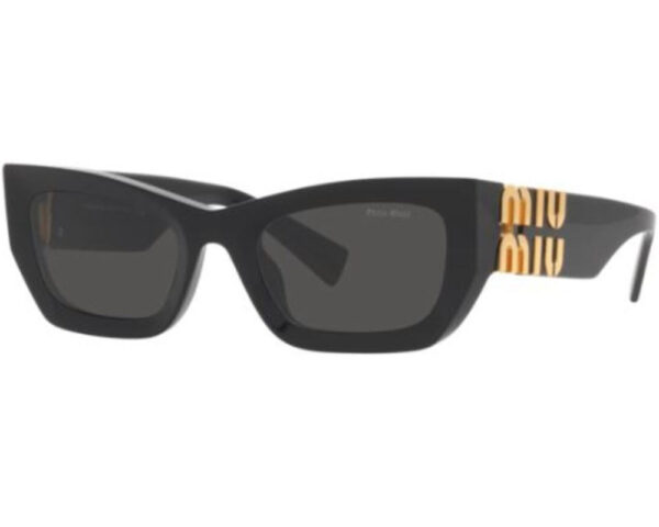 Noir (1AB5S0)