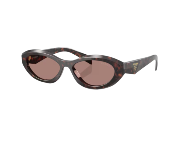 Ecaille (17N60B)
