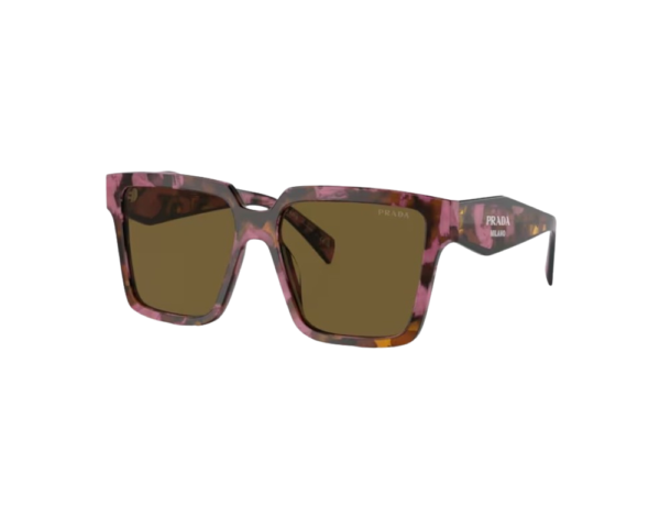 Ecaille (18N01T)