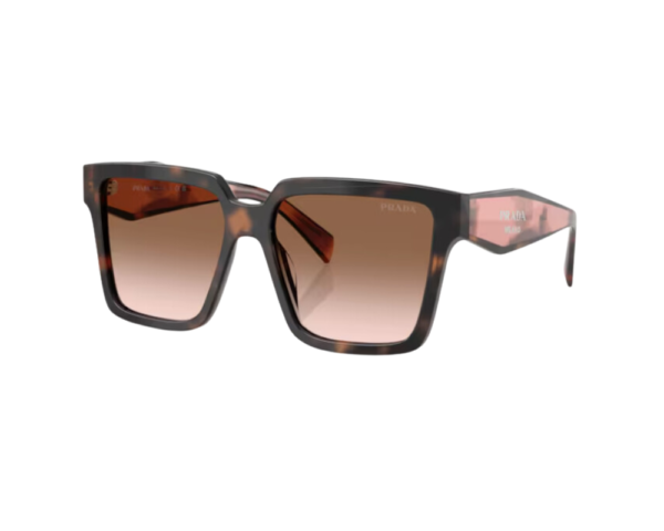 Ecaille (23A0A6)