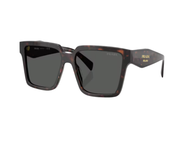Ecaille (17N40L)