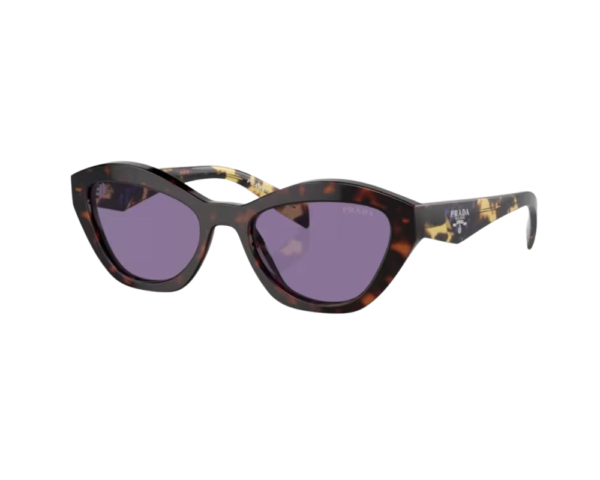 Ecaille (17N50B)
