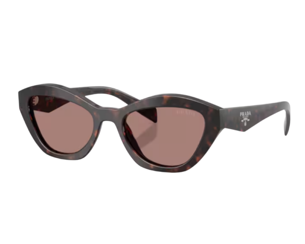 Ecaille (17N60B)