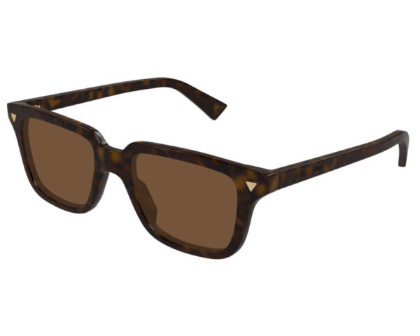 Ecaille (002)