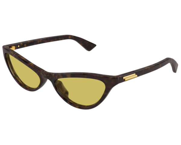 Ecaille (002)