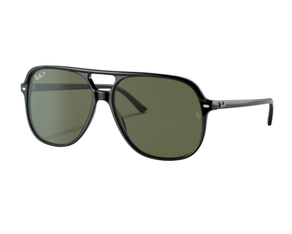 Ray-Ban Bill RB2198