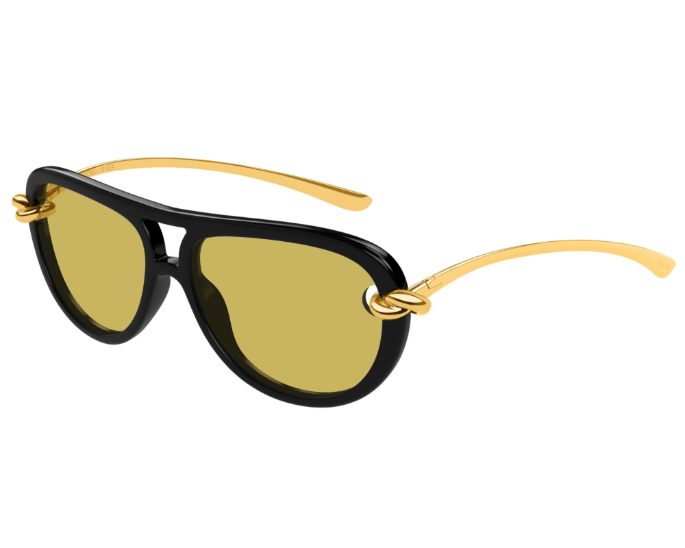 Bottega Veneta Signature Icons BV1418S