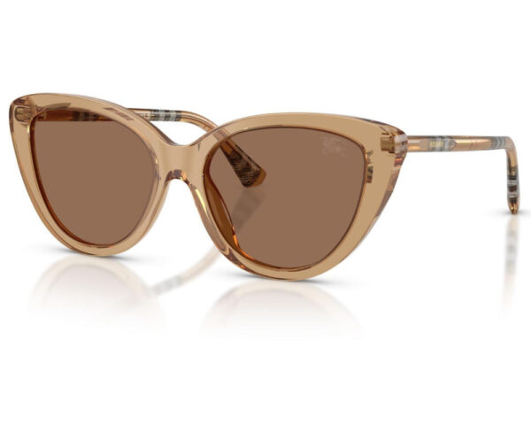 Beige (416473)